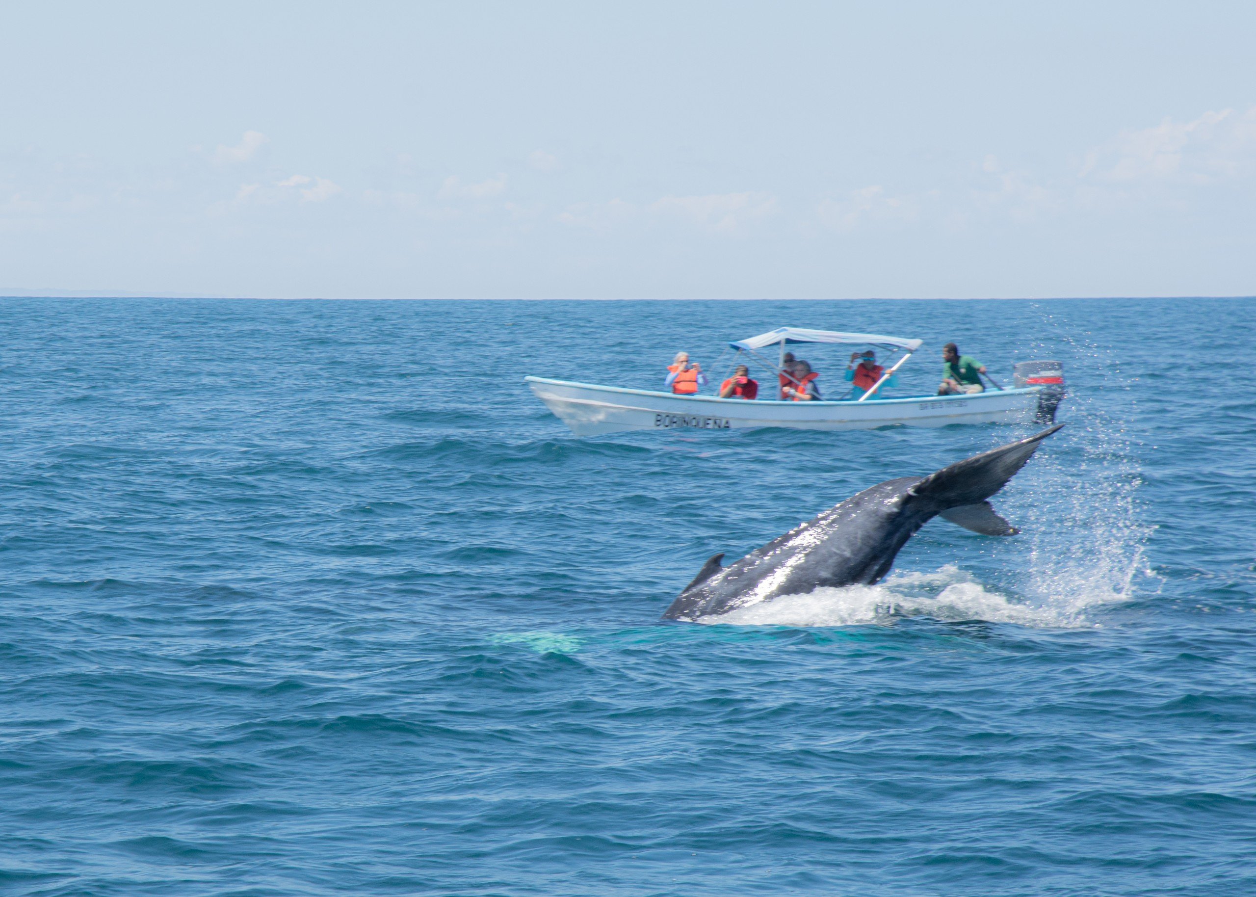 DSC_0561-scaled