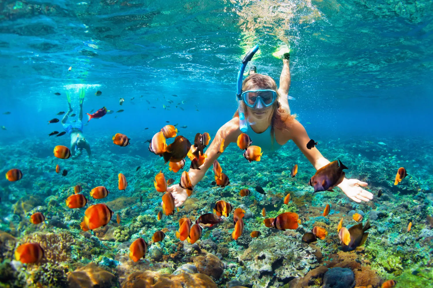 Snorkeling-the-Wall-at-Calina-Island