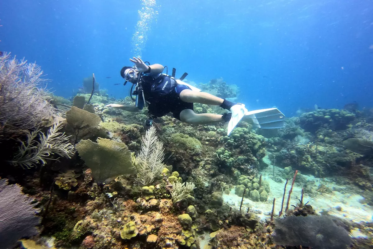 diveinstructor_dominican_republic_punta_cana_udo_stahl