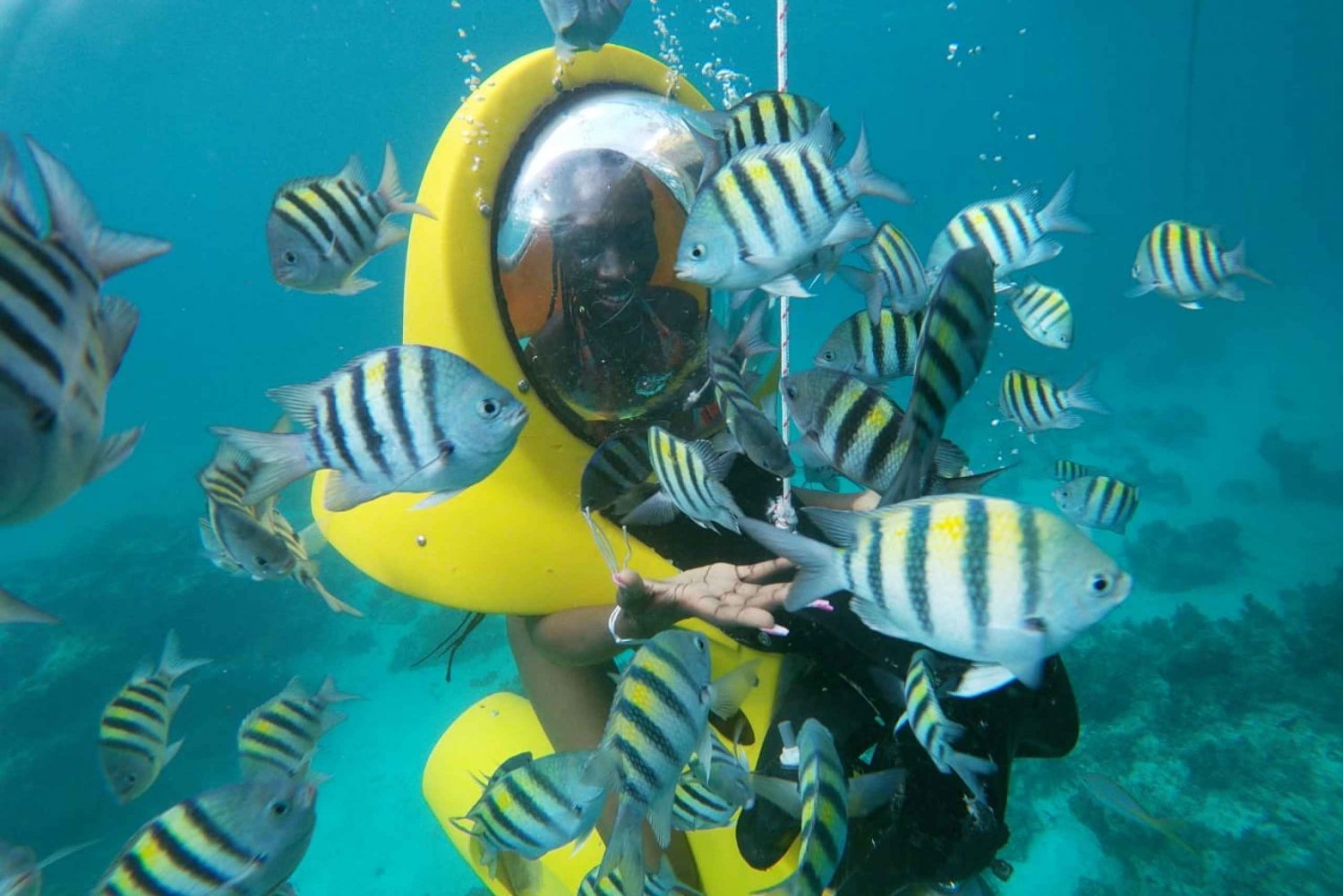 punta-cana-scubadoo-ocean-exploration-diving-adventure-1104391