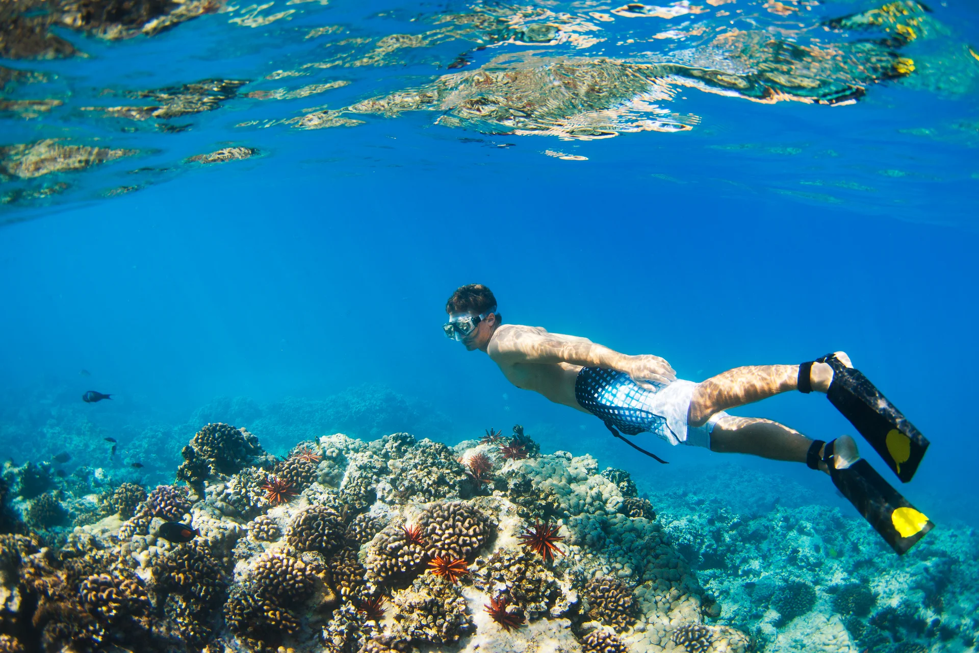 snorkel-bajo-el-agua