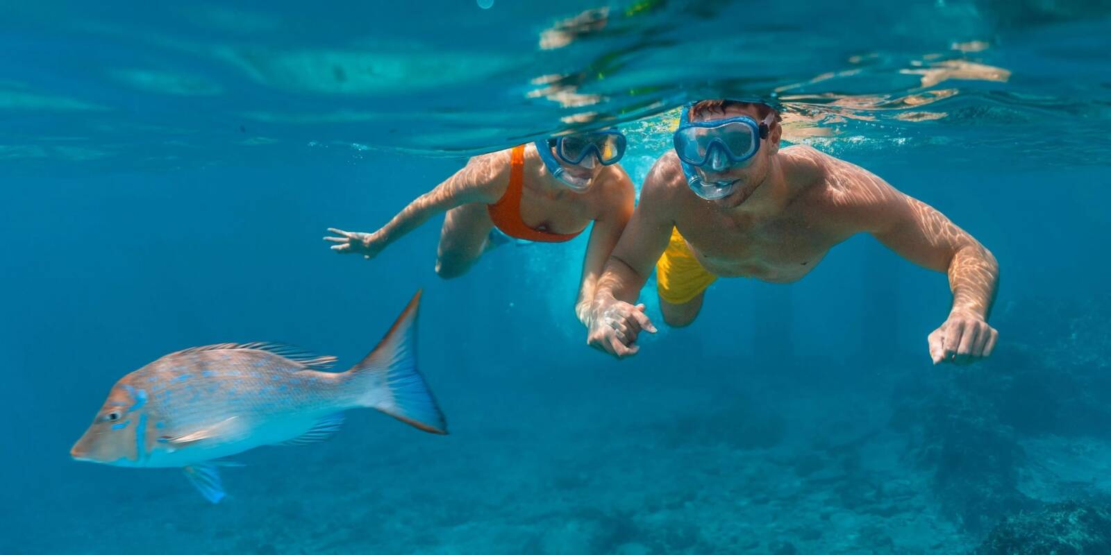 snorkeling_sosua-1600x800