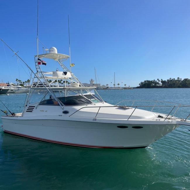 Sea Ray 35-2