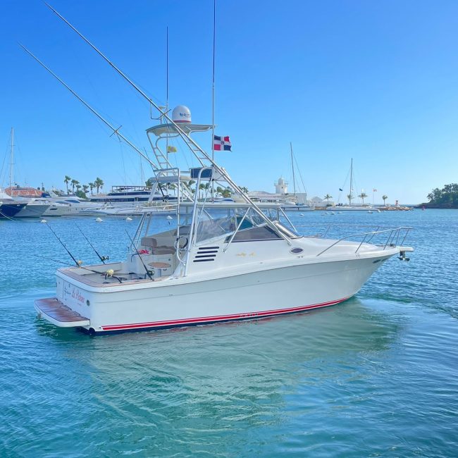Sea Ray 35-3