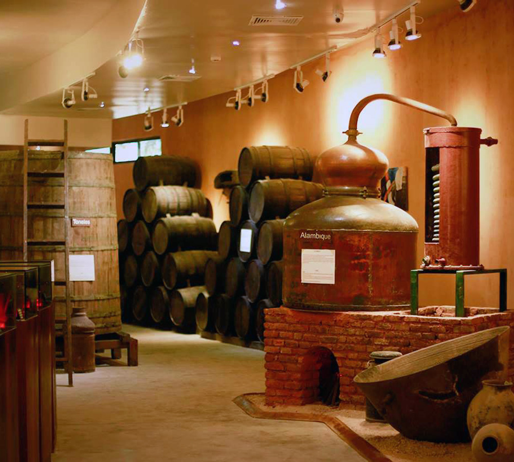 gallery6