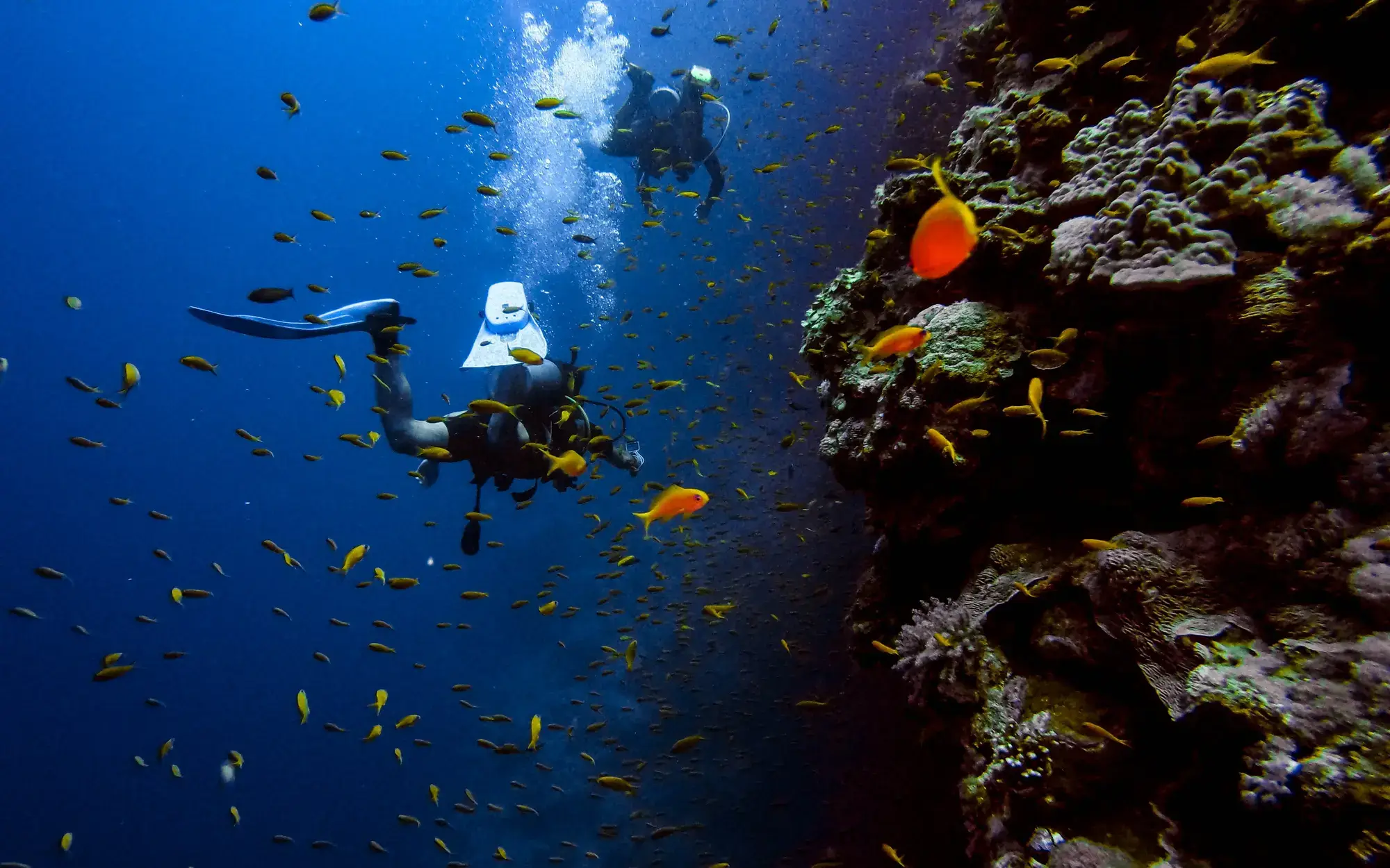 deep diver course