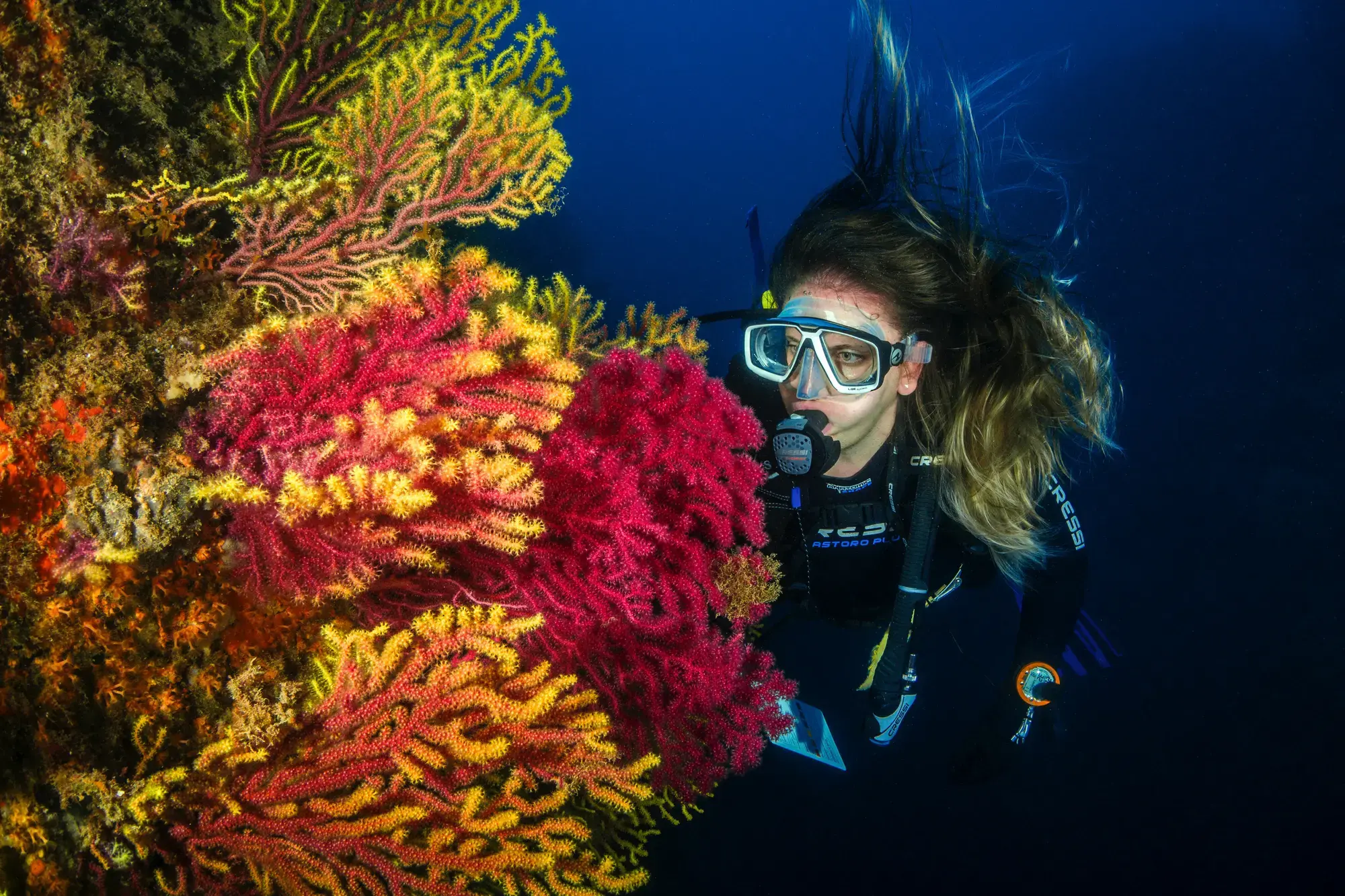 scuba diver 1
